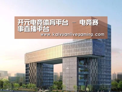 案例展示四