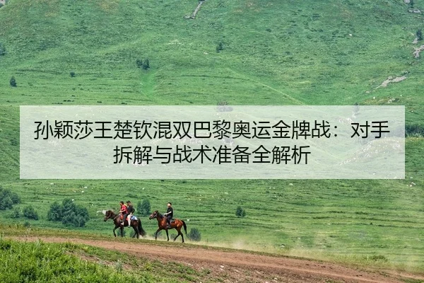 孙颖莎王楚钦混双巴黎奥运金牌战：对手拆解与战术准备全解析