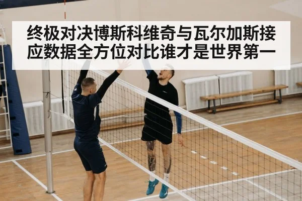 终极对决博斯科维奇与瓦尔加斯接应数据全方位对比谁才是世界第一